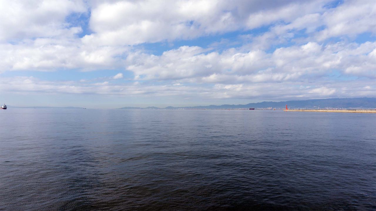 >魚種多彩な大阪湾